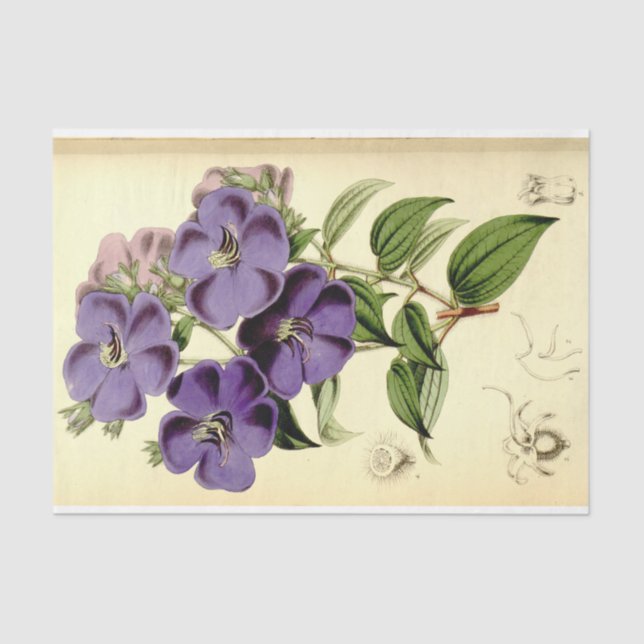 Floral Ephemera Decoupage Purple Tissue Paper (Front)