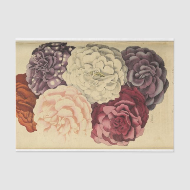 Floral Ephemera Decoupage Purple White Pink Tissue Paper (Front)