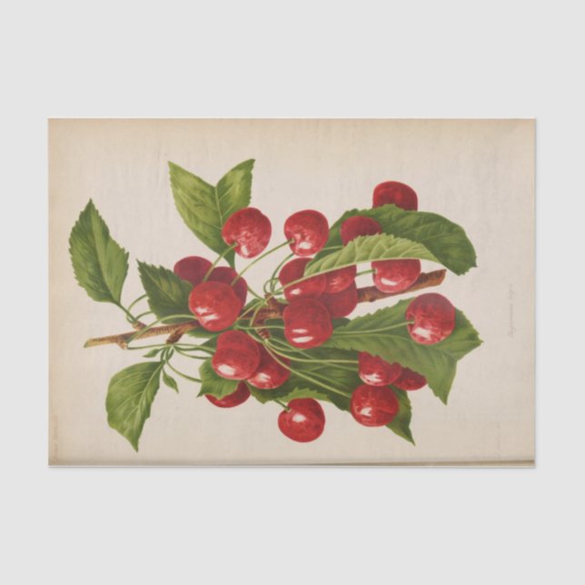 Floral Ephemera Decoupage Red Cherries Tissue Paper (Front)