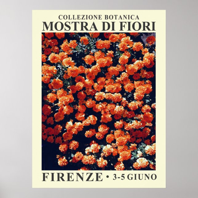 Floral Exhibit No. 3 Poster (Front)