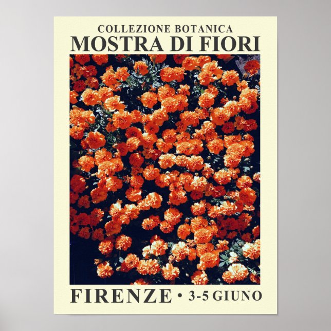 Floral Exhibit No. 3 Poster (Front)