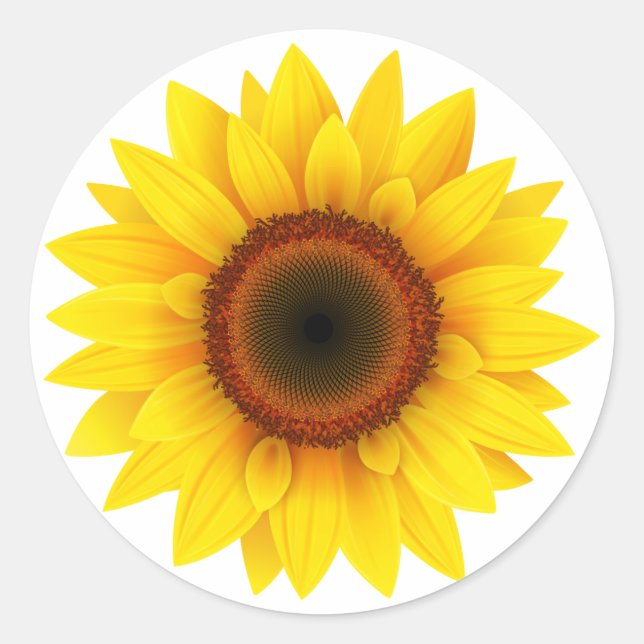 Floral ,Flower ,Garden ,Womens Fall , Sunflower Classic Round Sticker (Front)