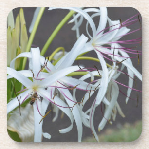 Floral Fragrance Cork Coaster