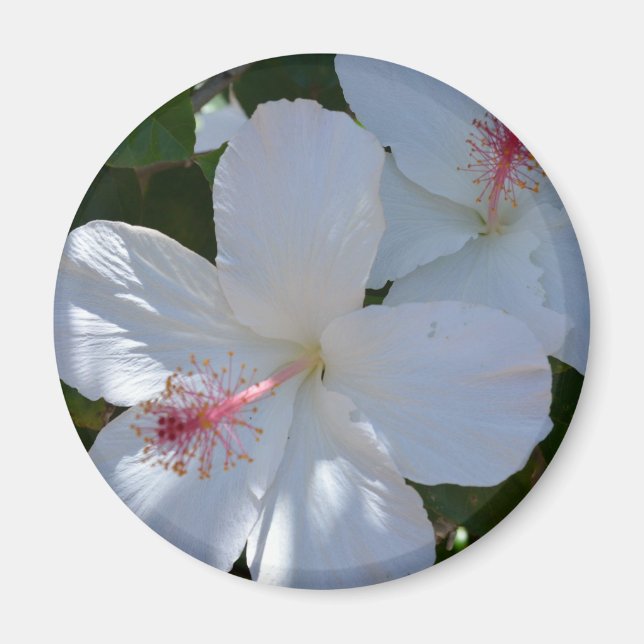 Floral Fragrance Magnet (Front)