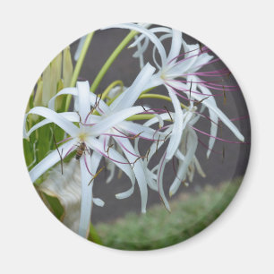 Floral Fragrance Magnet