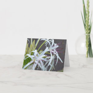 Floral Fragrance Note Card
