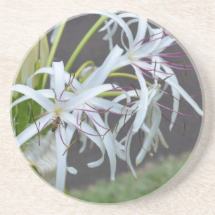 Floral Fragrance Sandstone Coaster