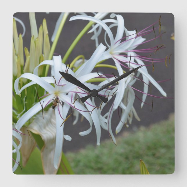 Floral Fragrance Wall Clock (Front)