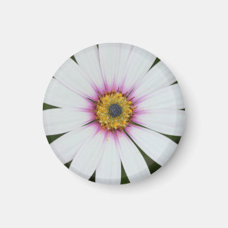 Floral Fridge Magnet