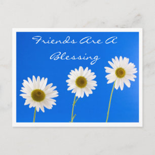 Floral Friends Are A Blessing White Daisy Flowers Postcard