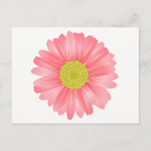 Floral Gerbera Daisy Pink & Yellow Flower Postcard