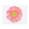 Floral Gerbera Daisy Pink & Yellow Flower