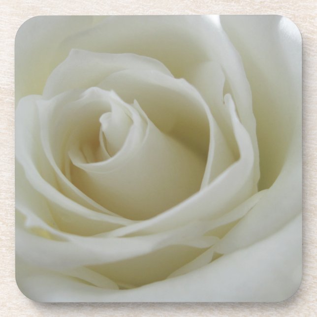 Floral Glow Coaster (Front)