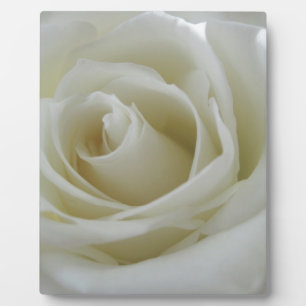 Floral Glow Plaque