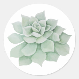 Floral Green Sage Succulent Cactus Watercolor Mint Classic Round Sticker