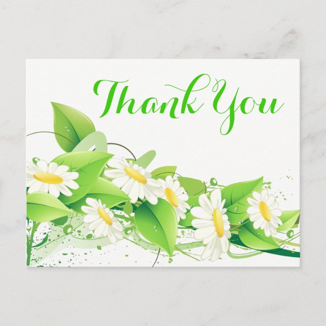 Floral Green Thank You White Daisies Flowers Postcard (Front)