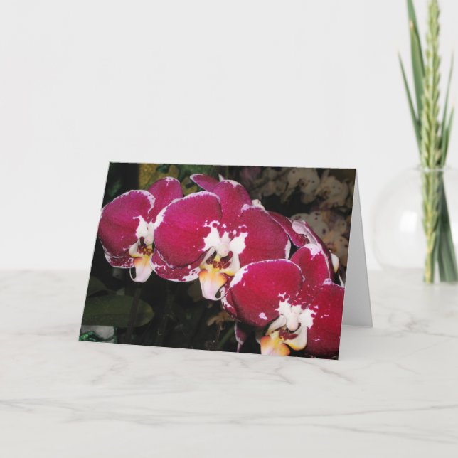 Floral Greeting Card (Front)