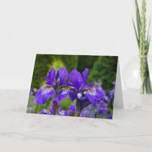 Floral greetings card, blank inside. card
