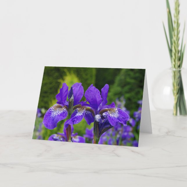 Floral greetings card, blank inside. card (Front)