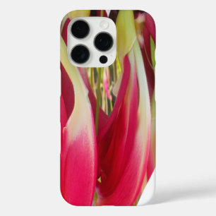 Floral Heart Art Print iPhone 16 Pro Case