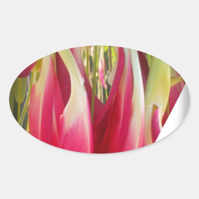 Floral Heart Art Print Oval Sticker (Front)