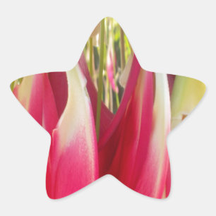 Floral Heart Art Print Star Sticker