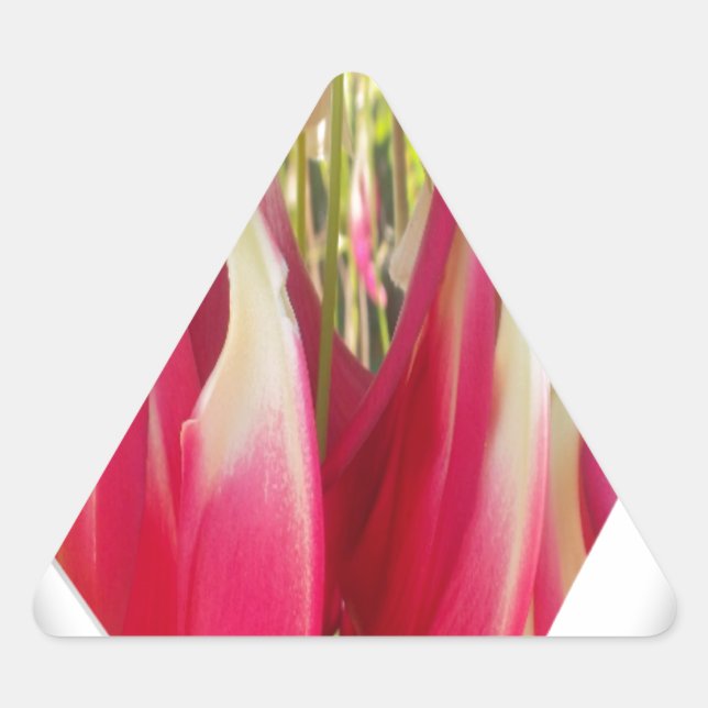 Floral Heart Art Print Triangle Sticker (Front)