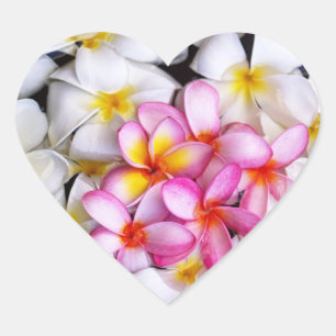 Floral Heart Sticker
