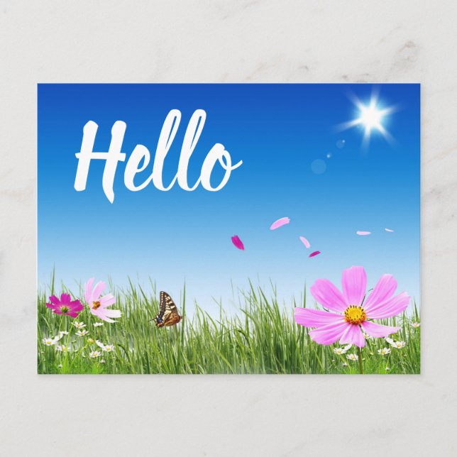 Floral Hello Daisy Butterfly Wildflowers Friends Postcard (Front)