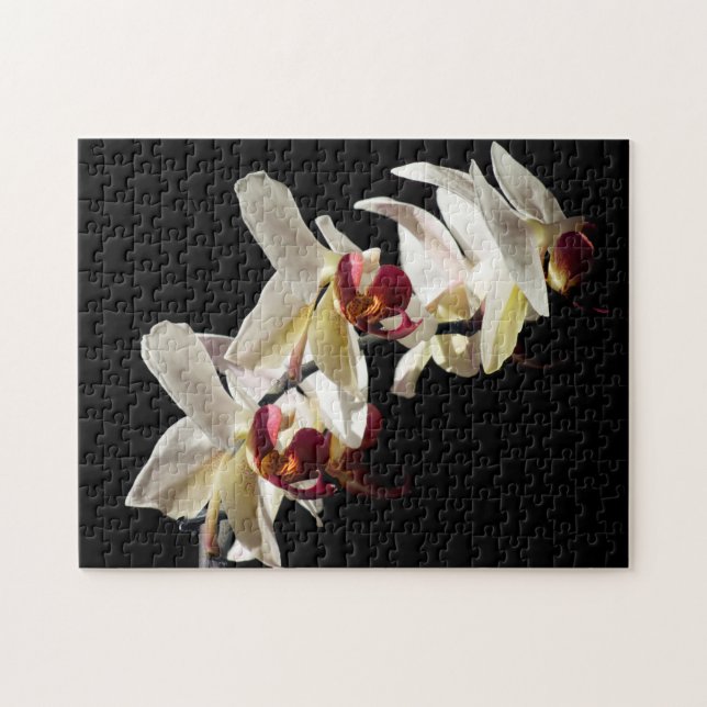 Floral Highlights of White Phalaenopsis Orchids Jigsaw Puzzle (Horizontal)