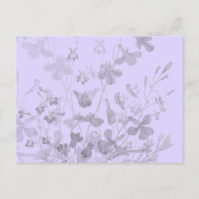 Floral Hint Postcard (Front)