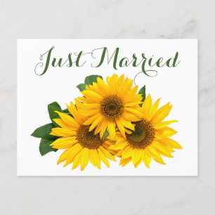 Floral Just Married Sunflower Yellow Green Wedding Announcement Postcard