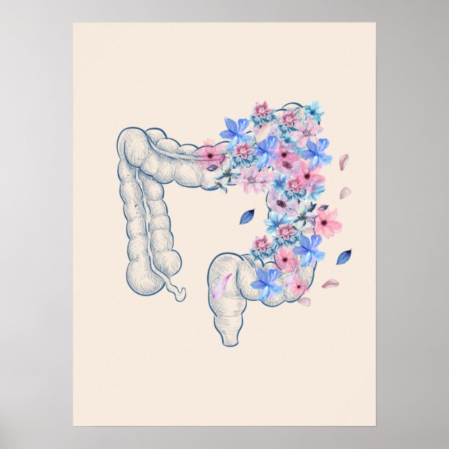 Floral medical gut anatomy poster  (Front)