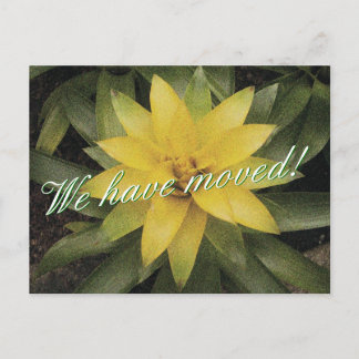 Floral moving postcards with yellow flower