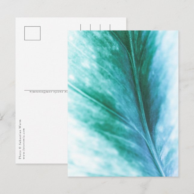 Floral Nature Photo Postcard (Front/Back)