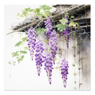 Floral Nature Violet Photo Print