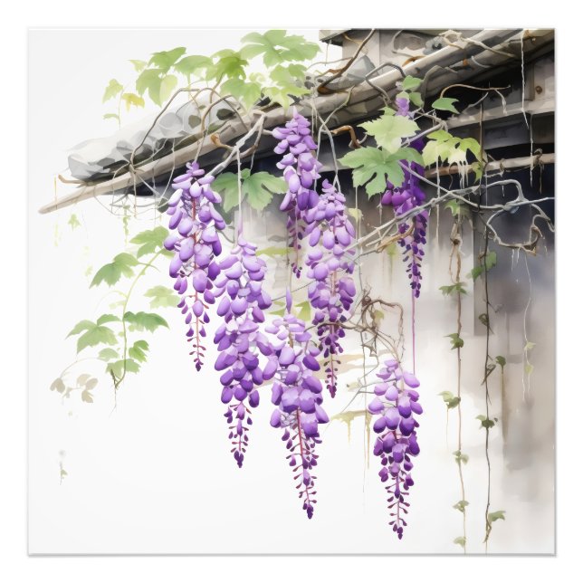 Floral Nature Violet Photo Print (Front)