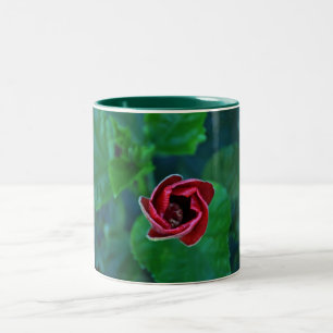 Floral New Red Hibiscus Two-Tone Coffee Mug