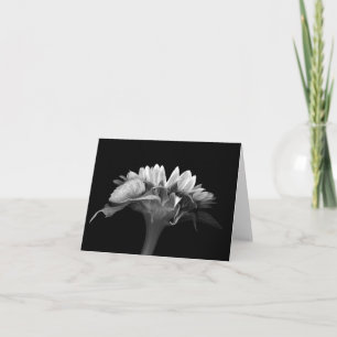 Floral Note Card Silver Sunflower