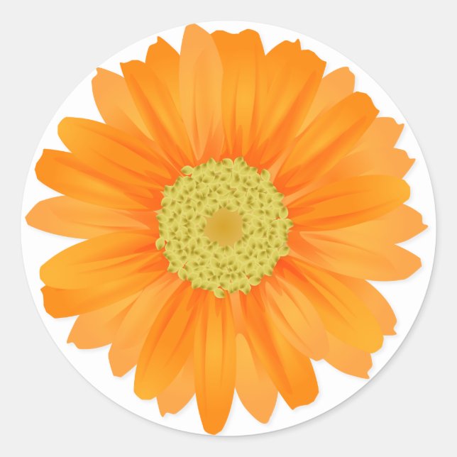 Floral Orange Gerbera Daisy Flowers Classic Round Sticker (Front)