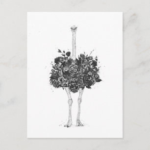 Floral ostrich postcard