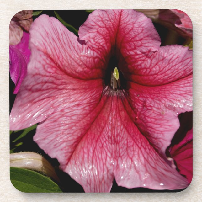 Floral Outburst Coaster (Front)