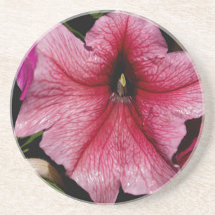 Floral Outburst Coaster
