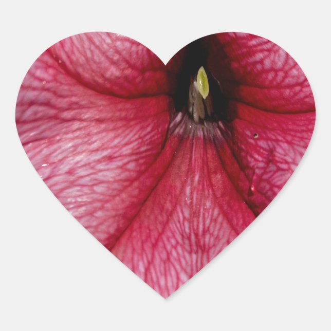 Floral Outburst Heart Sticker (Front)