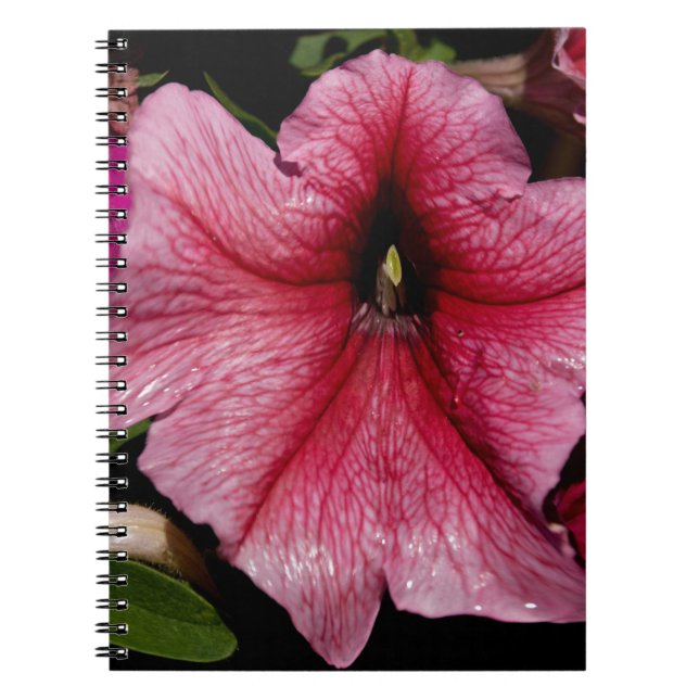 Floral Outburst Notebook (Front)