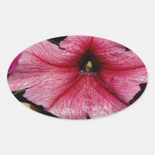 Floral Outburst Oval Sticker