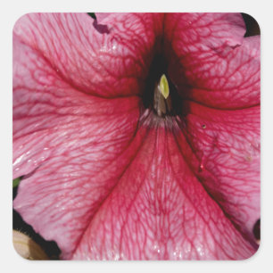 Floral Outburst Square Sticker