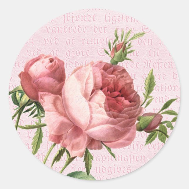 Floral pastel pink rose flower classic round sticker (Front)