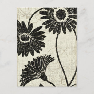 Floral Patterns in Black and White Postcard