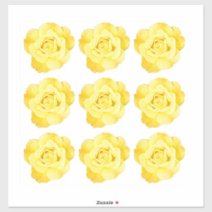 Floral Patterns Yellow Rose Decorative Colourful